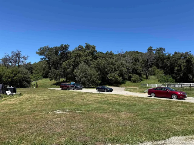 a view of a small yard