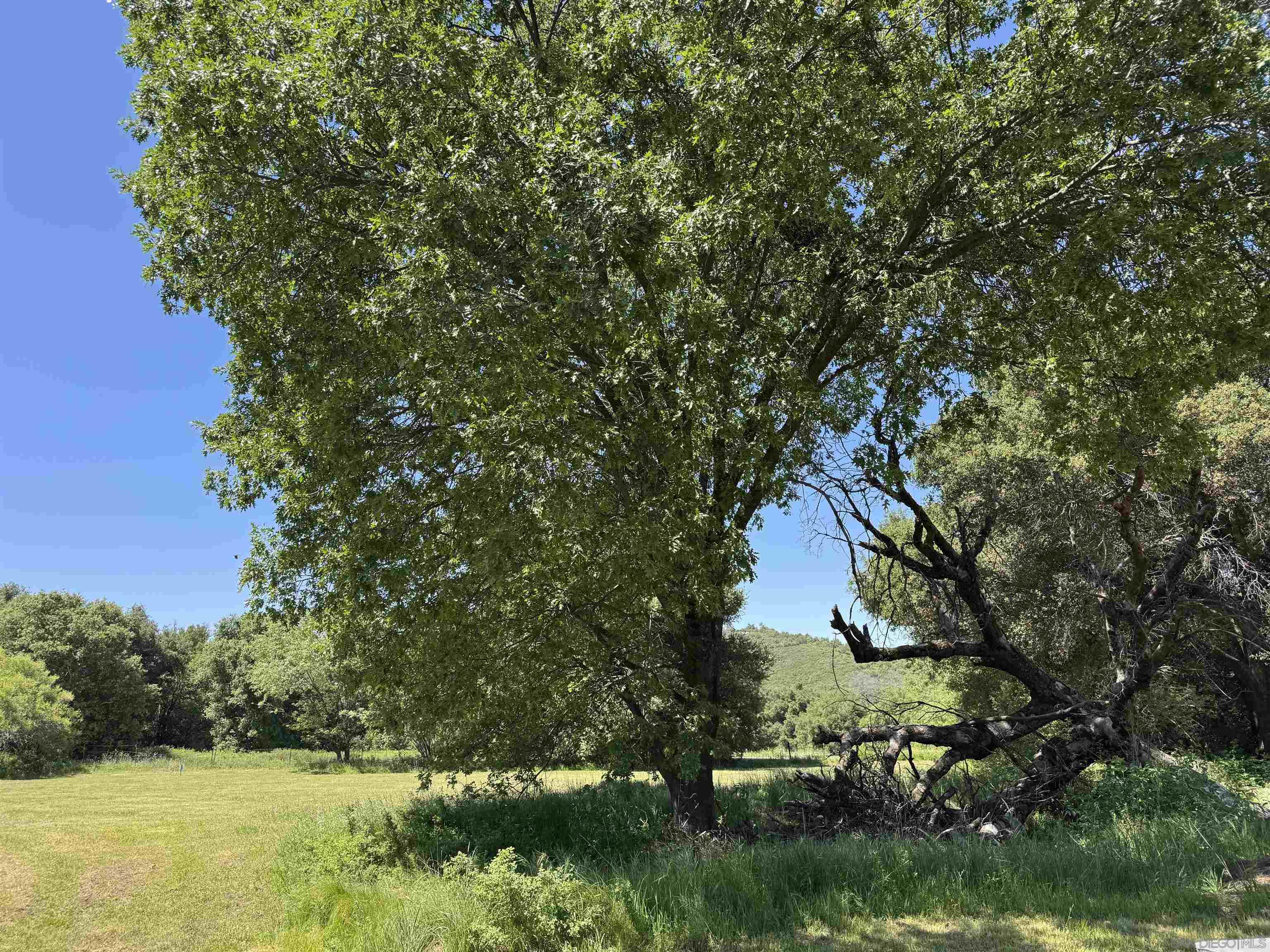 5750 Forest Meadow Road Julian, CA 92036 - Photo 17 of 39 a view of a house with a yard