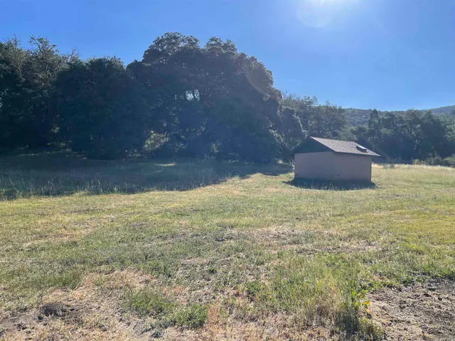 a view of an ocean from a yard