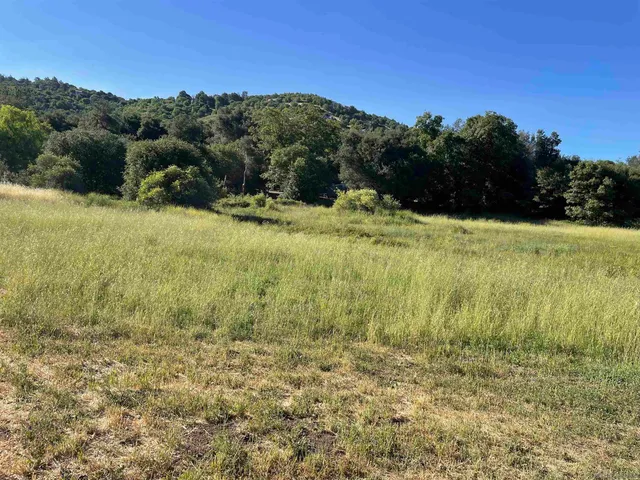 a view of a big yard with large trees