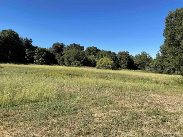 a view of a swimming pool and a yard