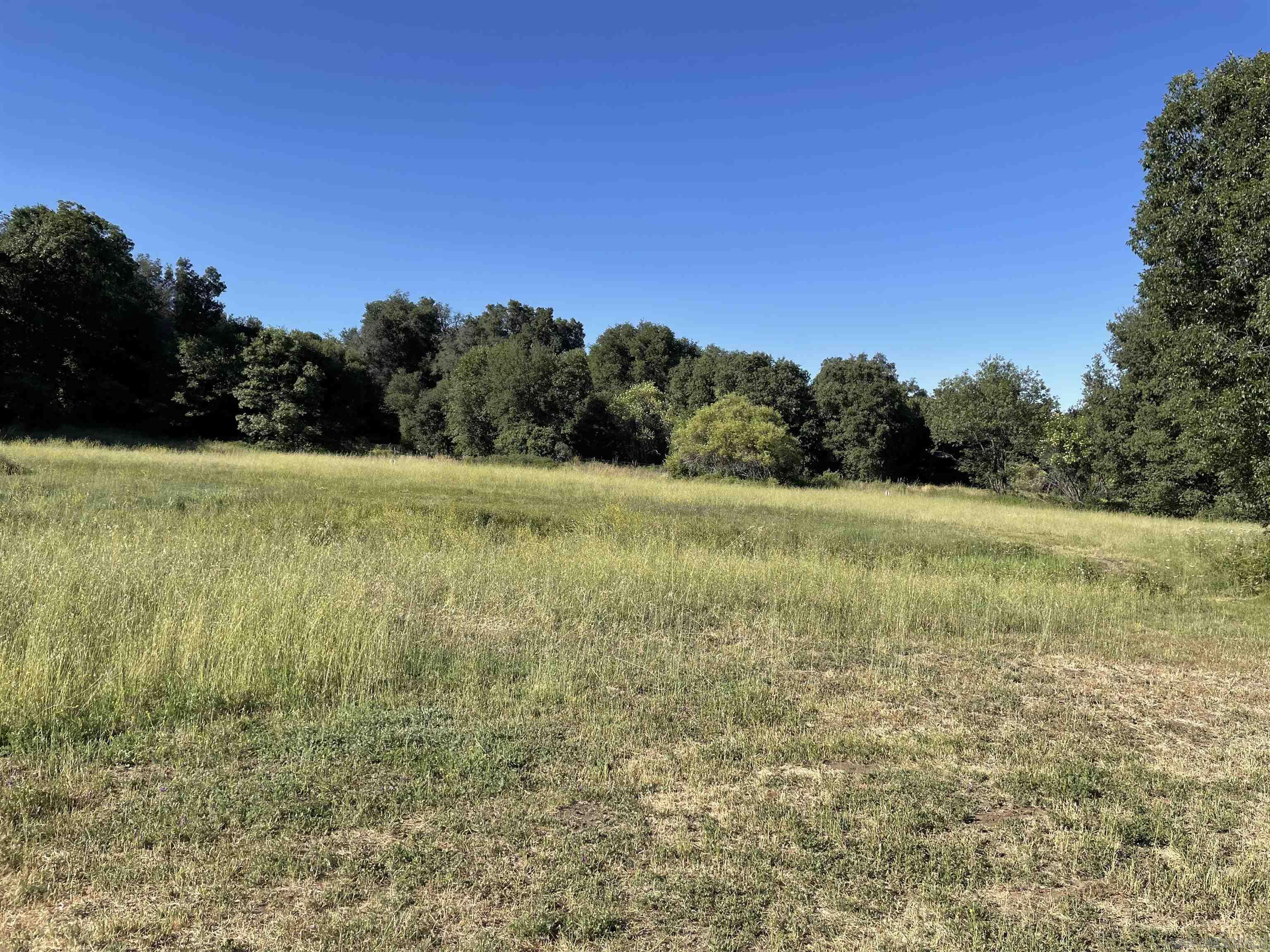 5750 Forest Meadow Road Julian, CA 92036 - Photo 31 of 39 a view of a field with an ocean
