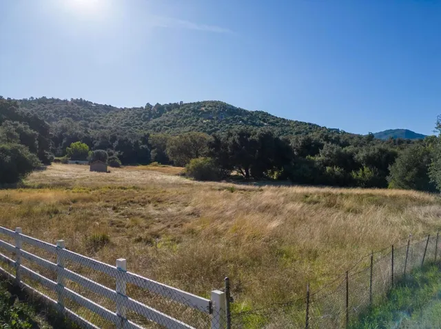 a view of a mountain in the distance in a field