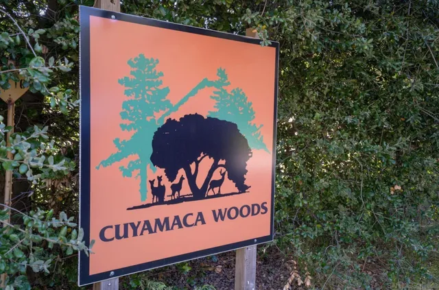 a view of a field with a tree