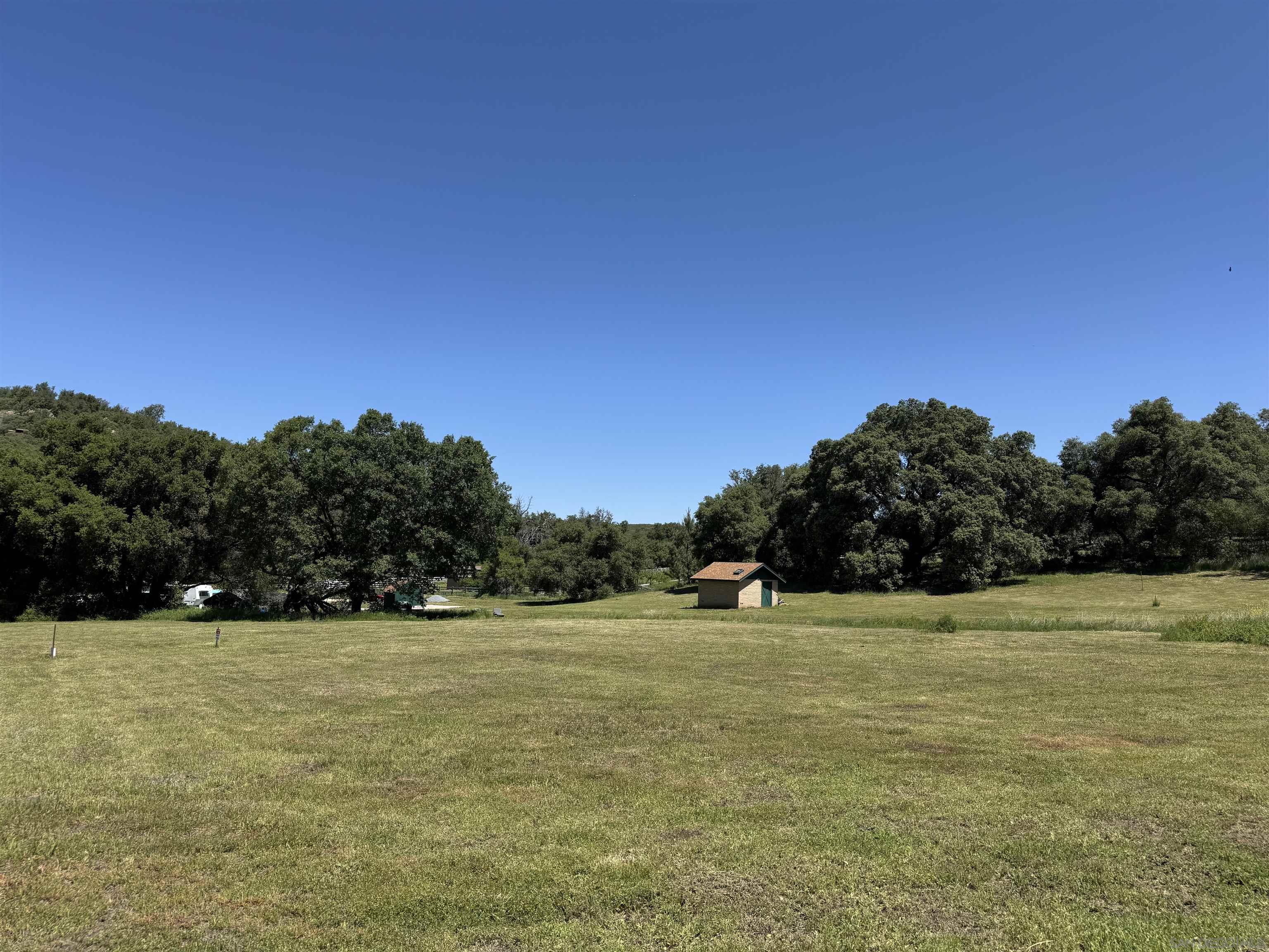 5750 Forest Meadow Road Julian, CA 92036 - Photo 10 of 39 a view of a green field with trees in the background