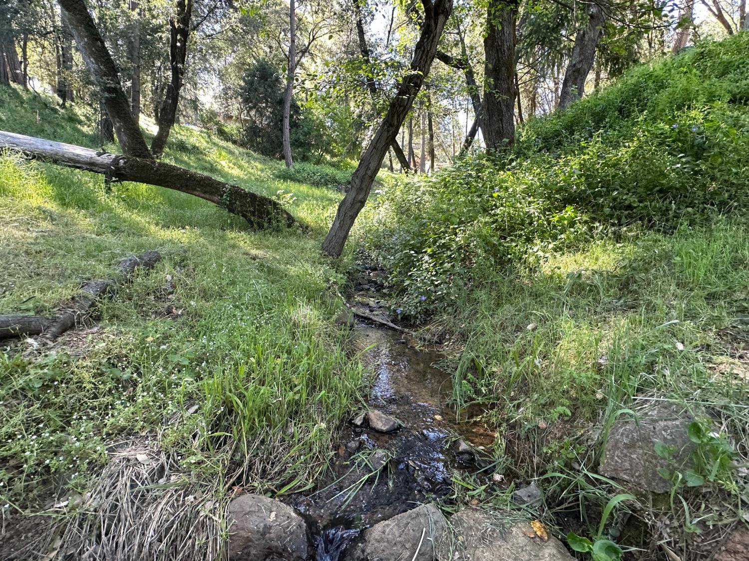 15340 Brewer Road Grass Valley, CA 95949 - Photo 1 of 8