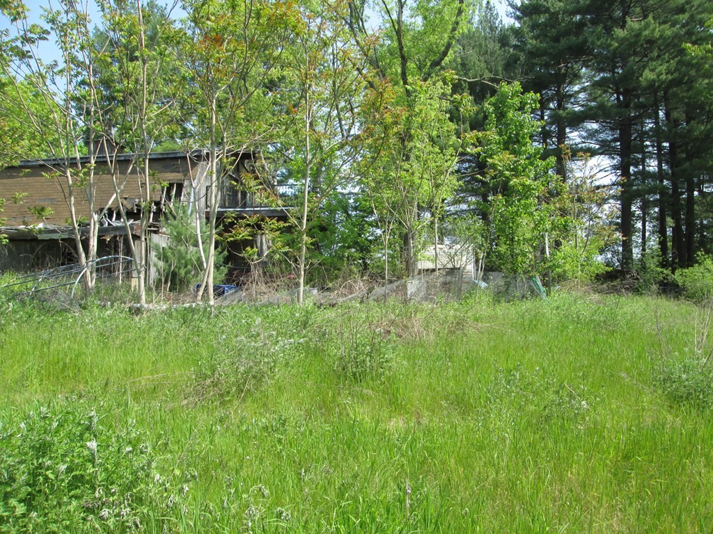 9 Dell Hollow Road Billerica, MA 01821 - Photo 39 of 41 Gallery Image 39