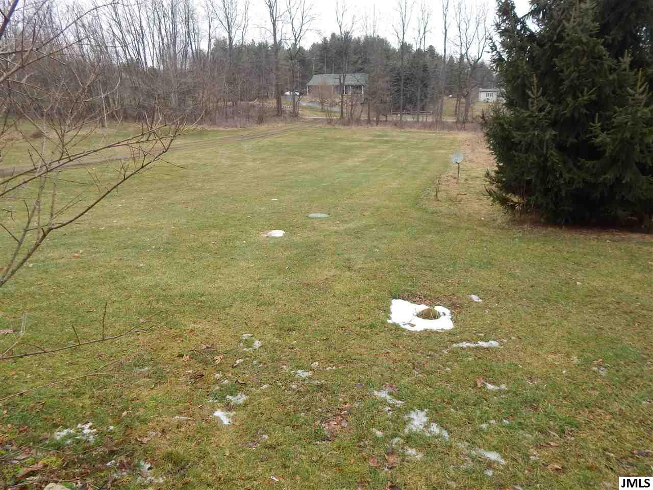 10299 Maines Road Parma, MI 49269 - Photo 27 of 30 Photo 29