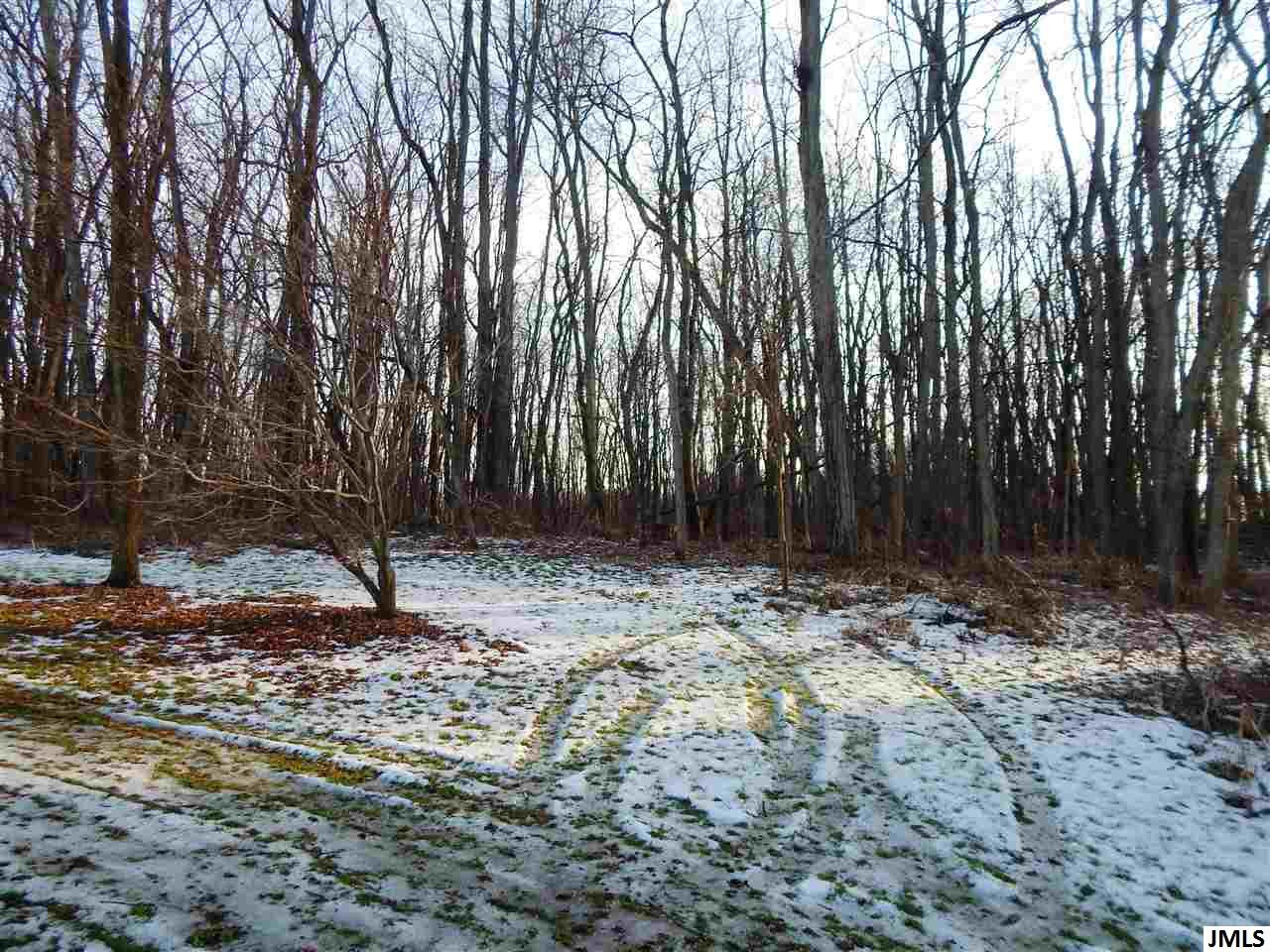 10299 Maines Road Parma, MI 49269 - Photo 28 of 30 Photo 30