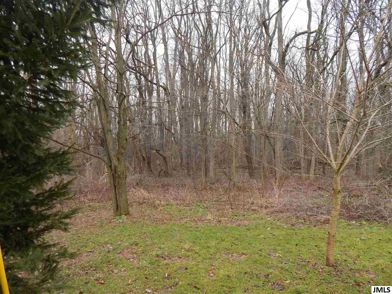 10299 Maines Road Parma, MI 49269 - Photo 29 of 30 Photo 31