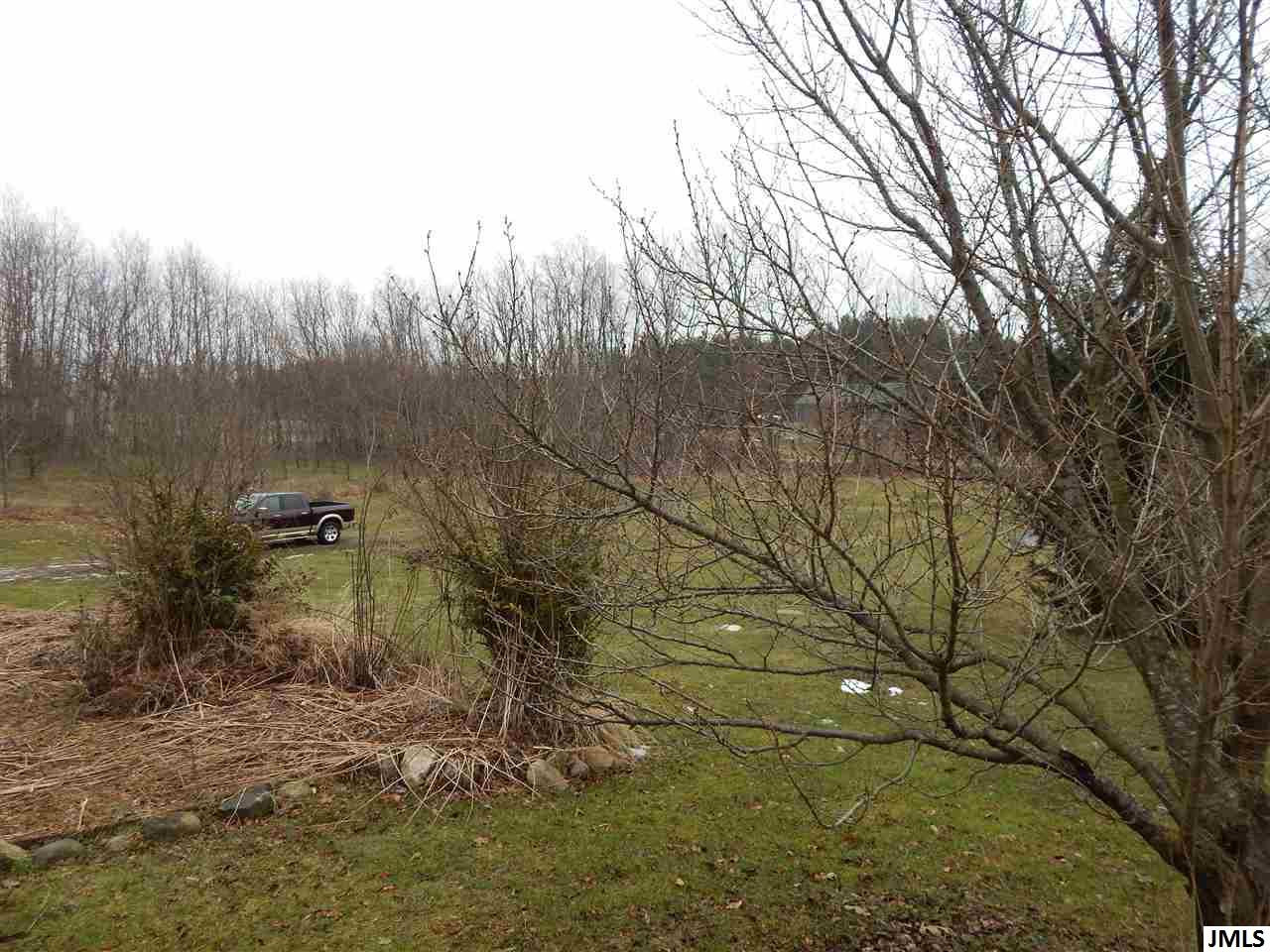 10299 Maines Road Parma, MI 49269 - Photo 30 of 30 Photo 32