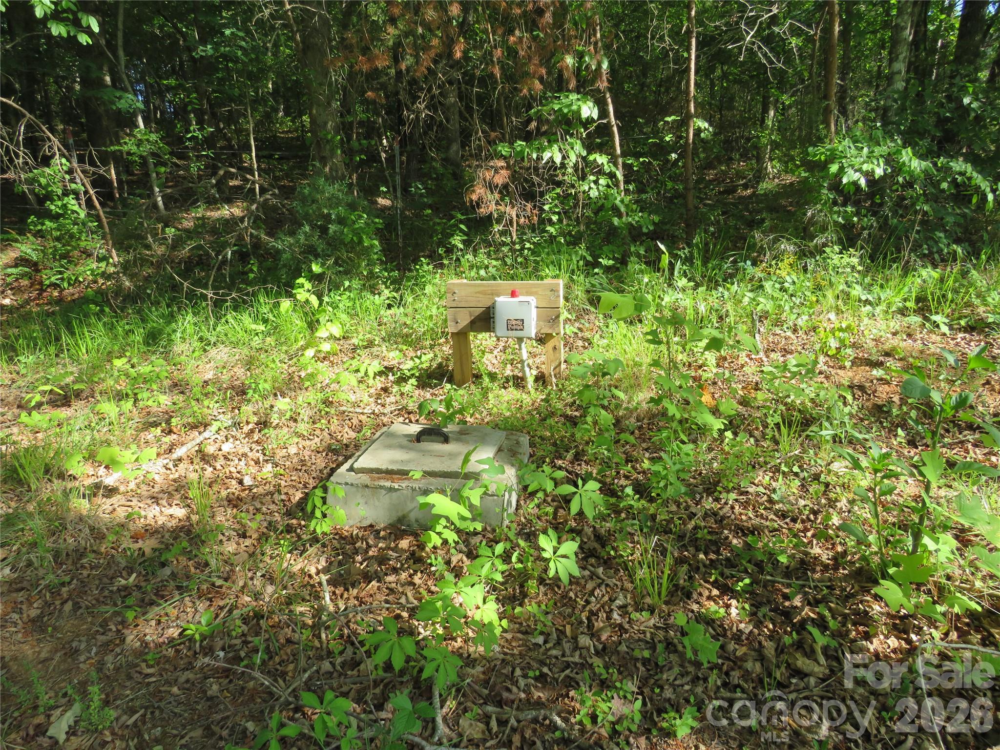 0 Blue Sapphire Lane Rutherfordton, NC 28139 - Photo 14 of 25