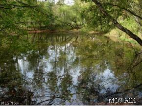 837 Adonis Road Middlebourne, WV 26149 - Photo 7 of 12 Pond