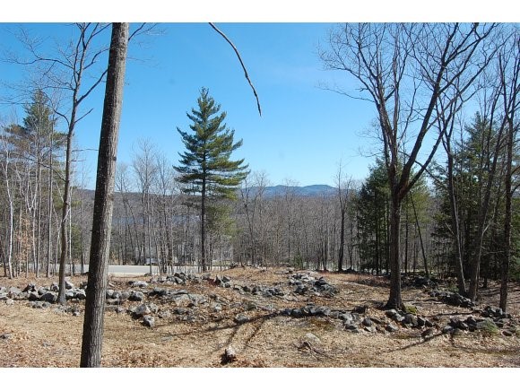 0 Hall Farm Road New London, NH 03257 - Photo 1 of 1 Gallery Image 1