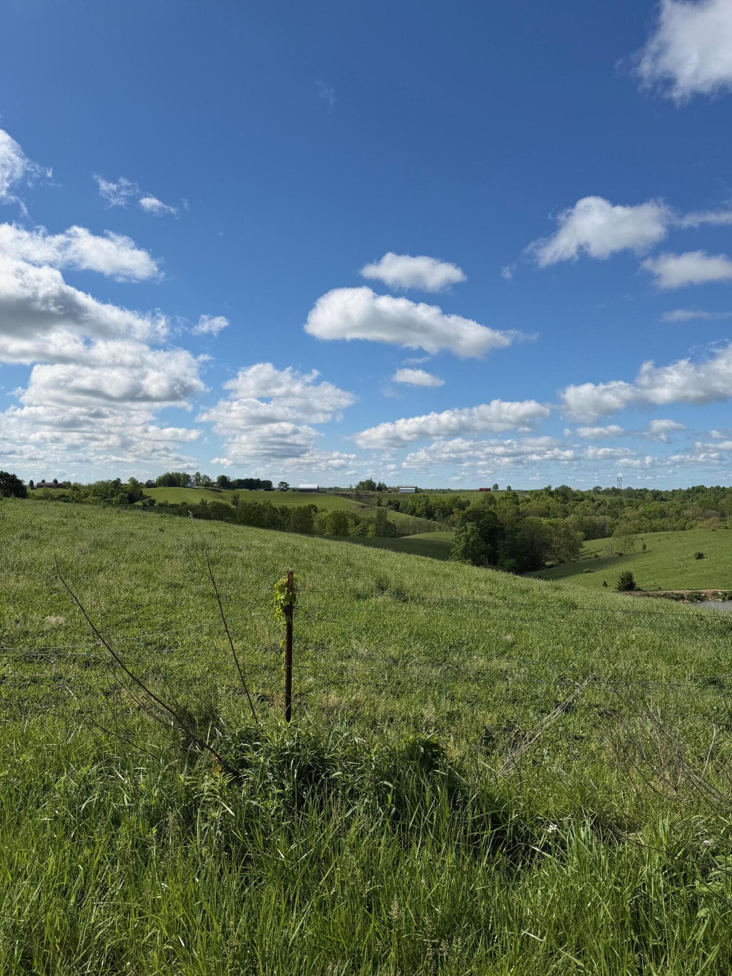 20.99-ac Chipman Ridge Road Williamstown, KY 41097 - Photo 9 of 21