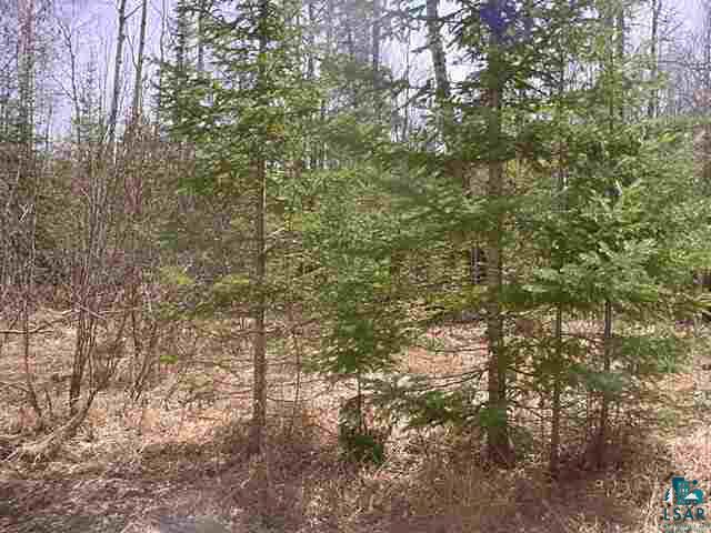 5951 Mabel Nelson Road South Range, WI 54874 - Photo 3 of 5