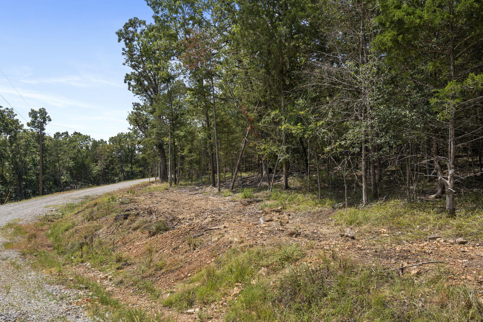 Tbd Blf Vw Road Shell Knob, MO 65747 - Photo 47 of 61 Tbd-Bluff-View-Rd-Vista-Lake-Estate
