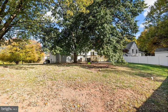 a view of yard with tree