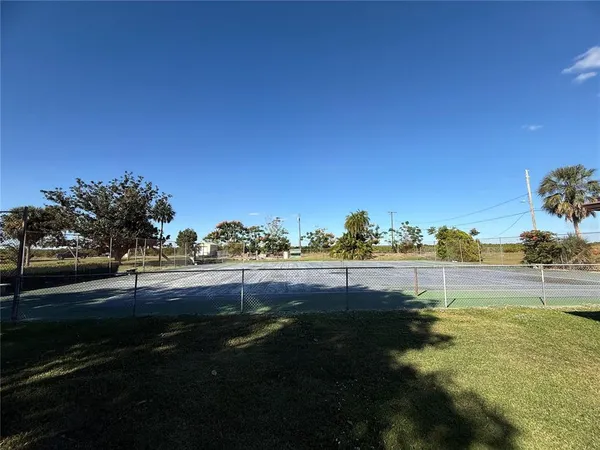 a view of a yard with a tree