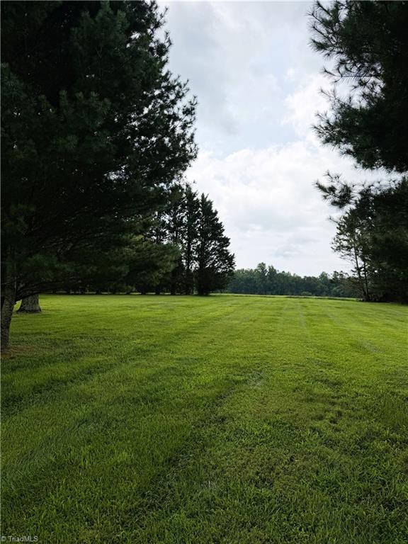 1094 Traphill Union Road Traphill, NC 28685 - Photo 30 of 30 Gallery Image 30