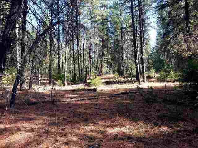 Tbd Rail Canyon Road Springdale, WA 99173 - Photo 1 of 9 Gallery Image 1