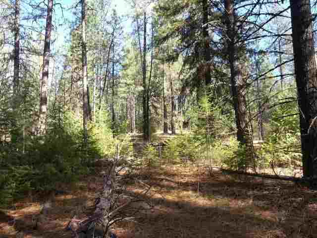 Tbd Rail Canyon Road Springdale, WA 99173 - Photo 3 of 9 Gallery Image 3