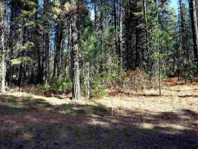 Tbd Rail Canyon Road Springdale, WA 99173 - Photo 5 of 9 Gallery Image 5