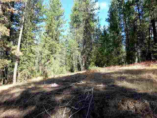 Tbd Rail Canyon Road Springdale, WA 99173 - Photo 6 of 9 Gallery Image 6