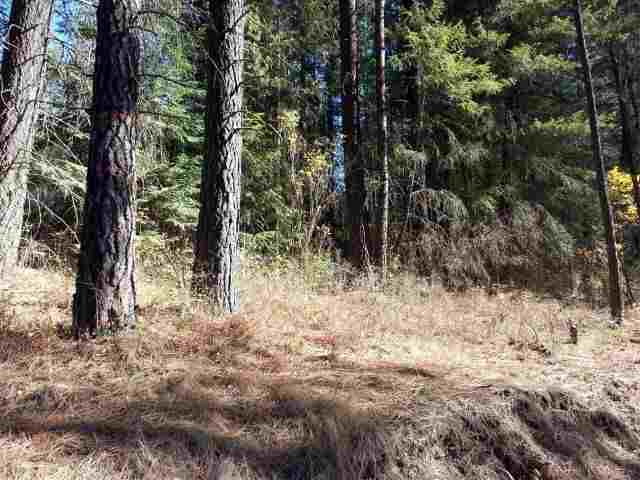 Tbd Rail Canyon Road Springdale, WA 99173 - Photo 7 of 9 Gallery Image 7