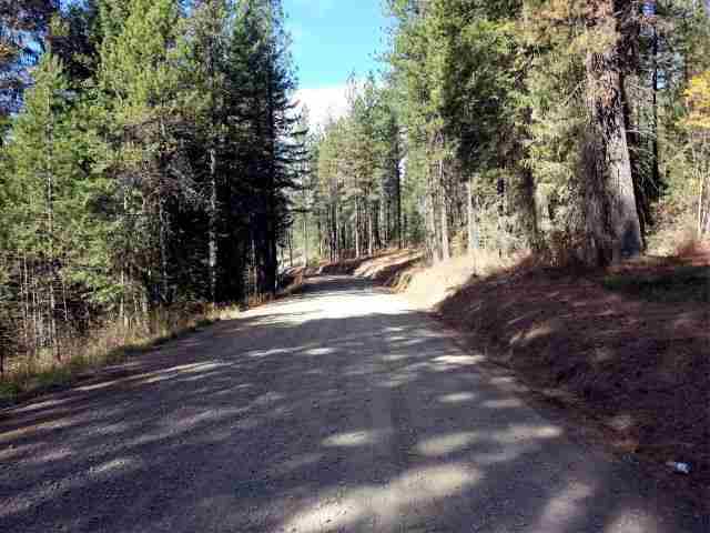 Tbd Rail Canyon Road Springdale, WA 99173 - Photo 8 of 9 Gallery Image 8