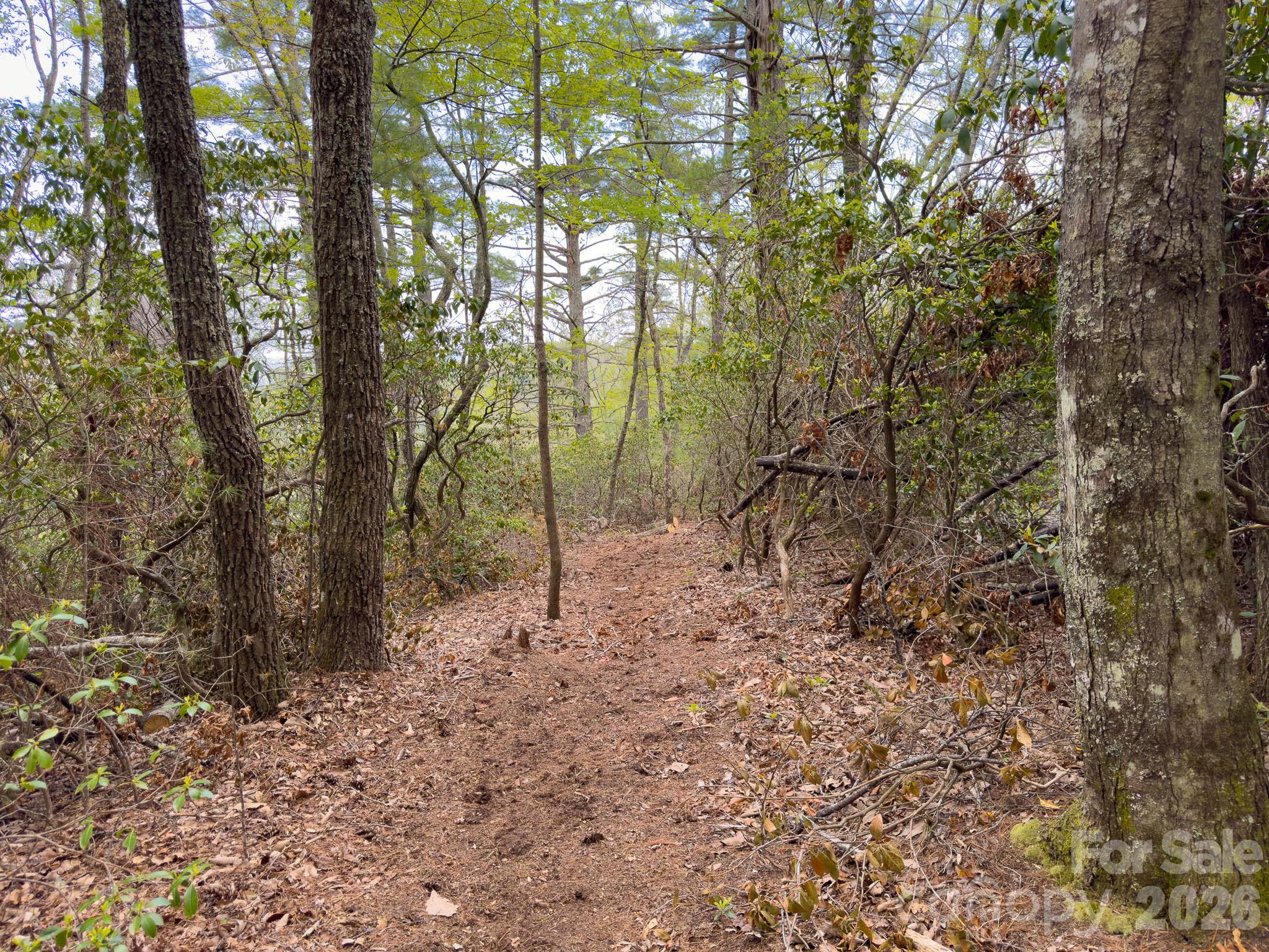 Tbd Pine Point Road Spruce Pine, NC 28777 - Photo 6 of 27
