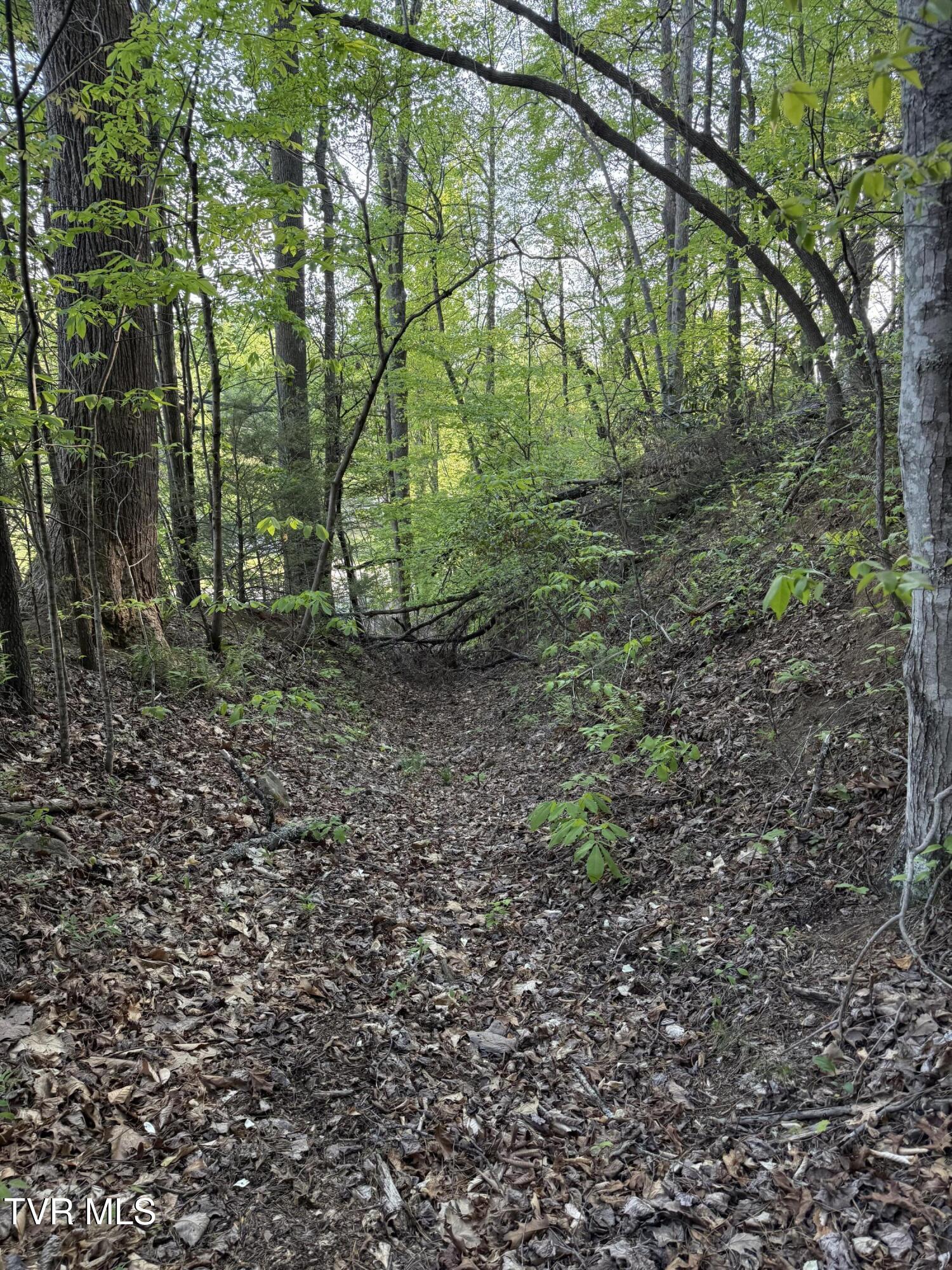 Tbd Bobs Hollow Road, Unit LOT 4 Elizabethton, TN 37643 - Photo 26 of 37 IMG_5263