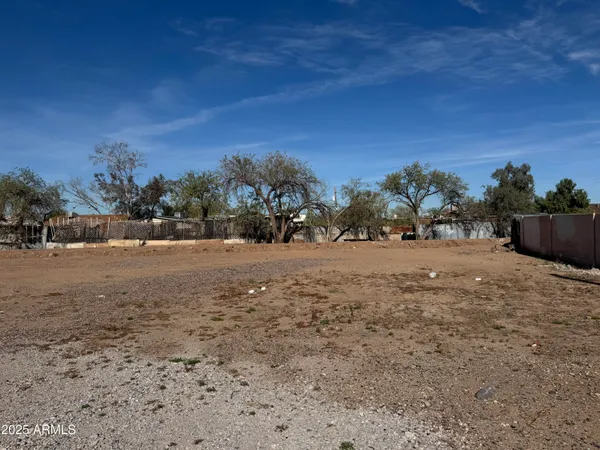 a view of dirt field with trees in background