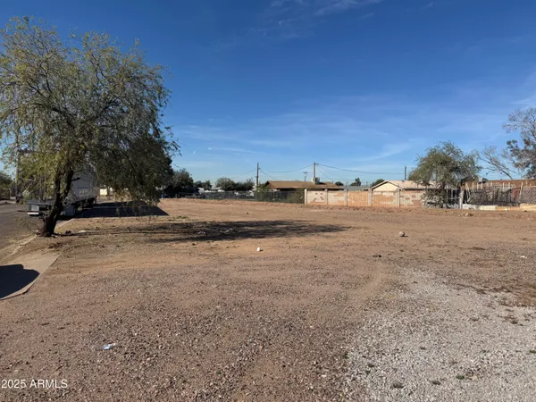 a view of dirt yard with a large tree