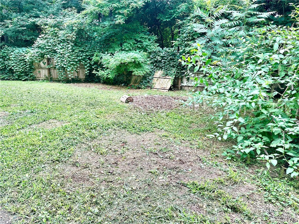 4164 Long Branch Road Liverpool, NY 13090 - Photo 35 of 39 Side Yard