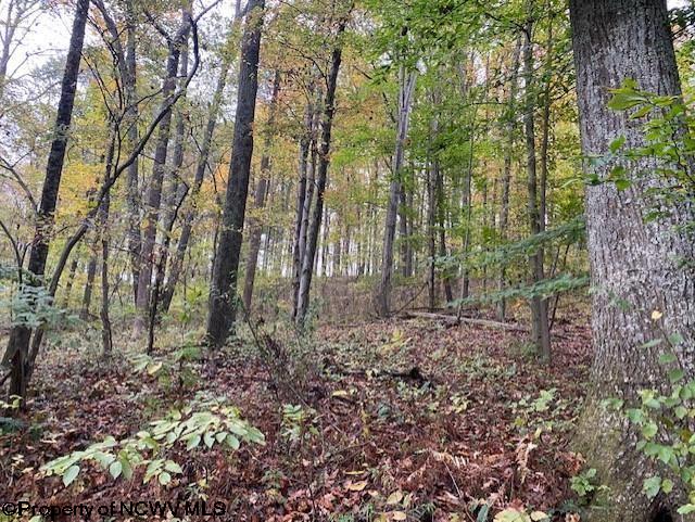 6-acres Hidden Valley Road Jane Lew, WV 26378 - Photo 4 of 10 Gallery Image 4