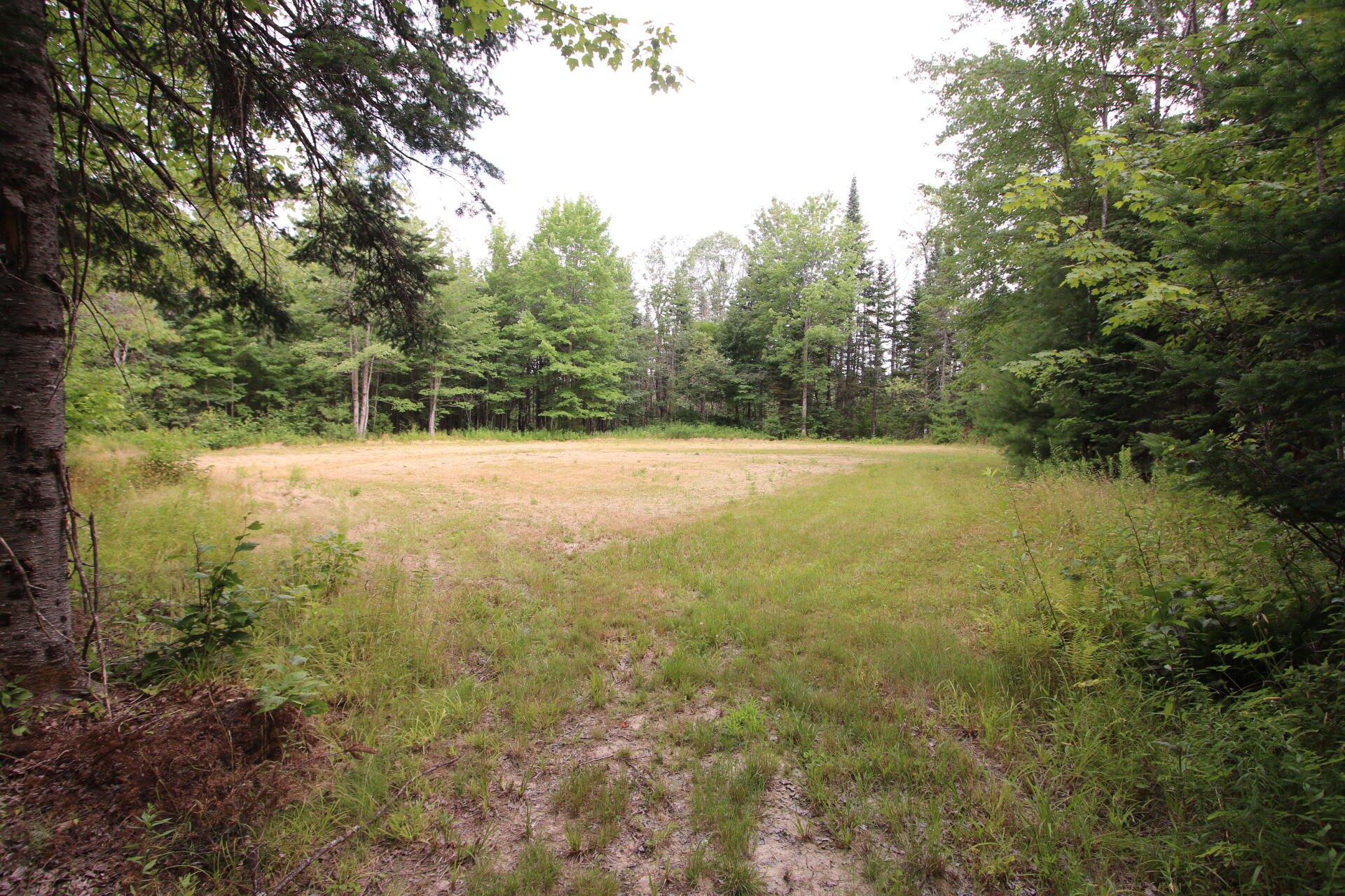 1143 Alton Tannery Road Alton, ME 04468 - Photo 78 of 84 IMG_3043