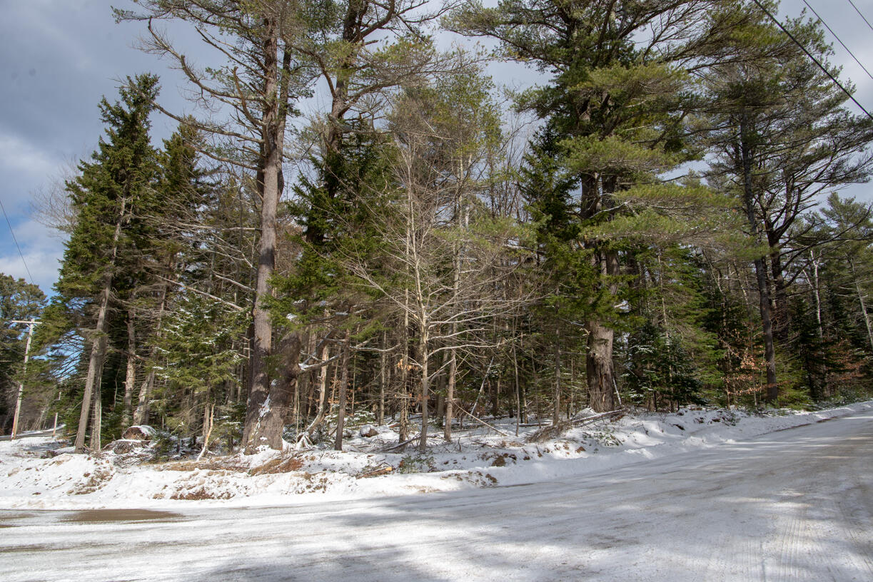 Lot 136 North Road Chebeague Island, ME 04017 - Photo 1 of 4 136-1