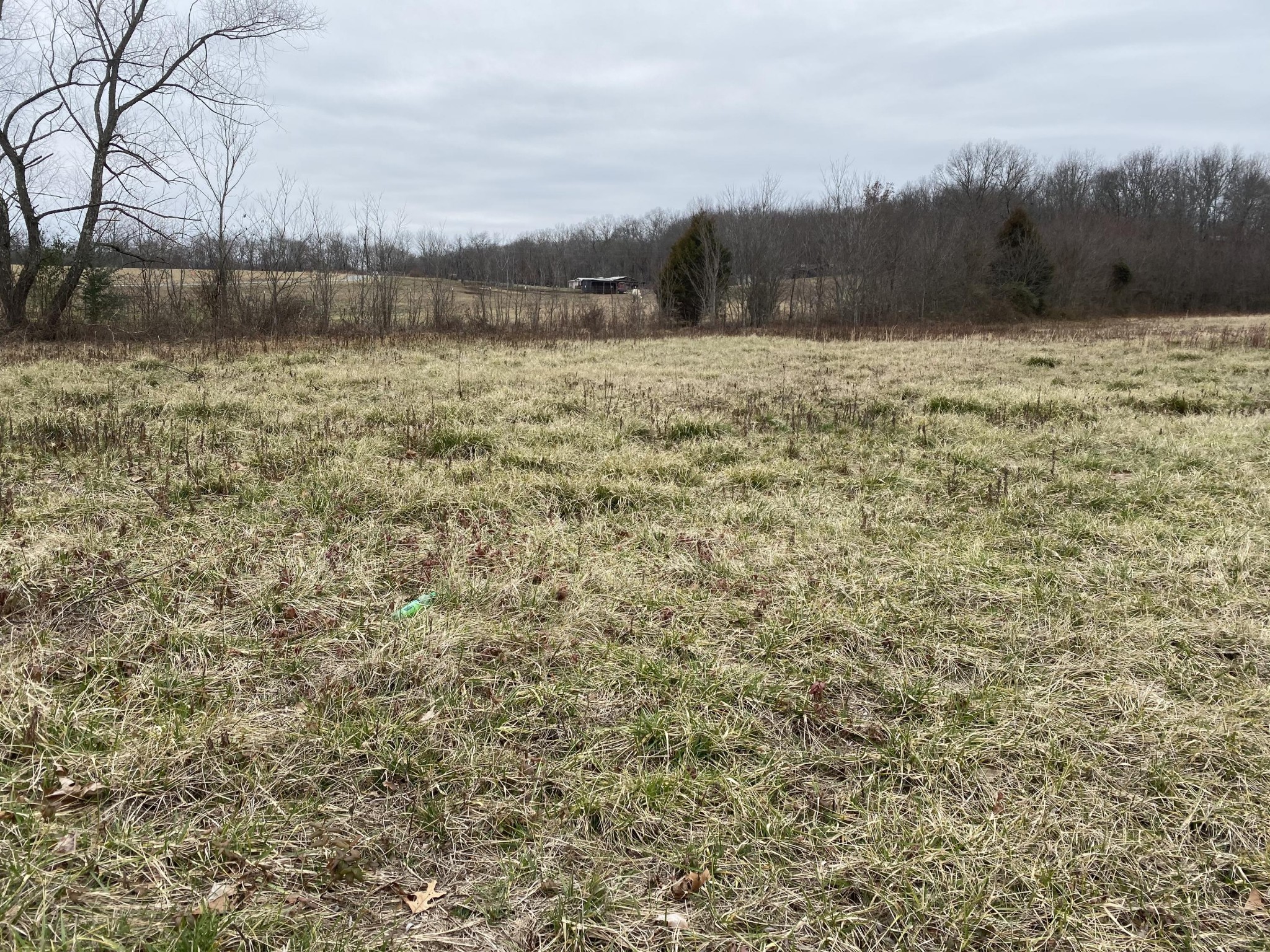 0 Panter Bottom Road Pikeville, TN 37367 - Photo 3 of 8 Gallery Image 3