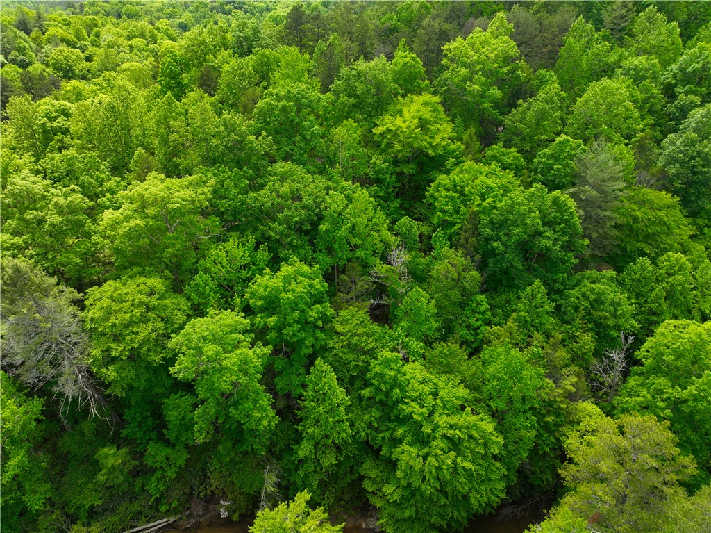 183 Chauga Valley Road Westminster, SC 29693 - Photo 11 of 31