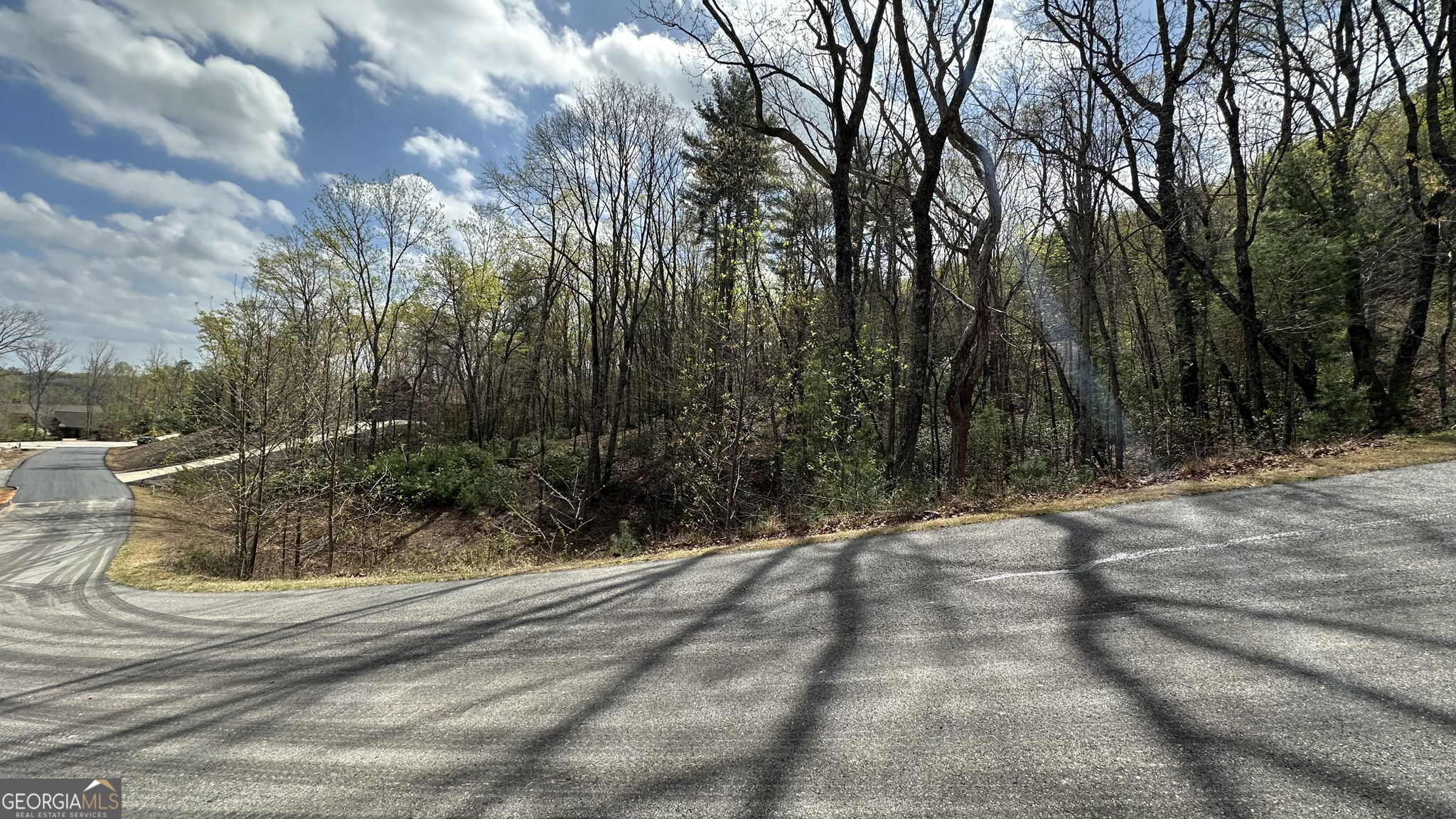 Lot 239 Shore Drive Cleveland, GA 30528 - Photo 4 of 13 a view of a backyard of the house