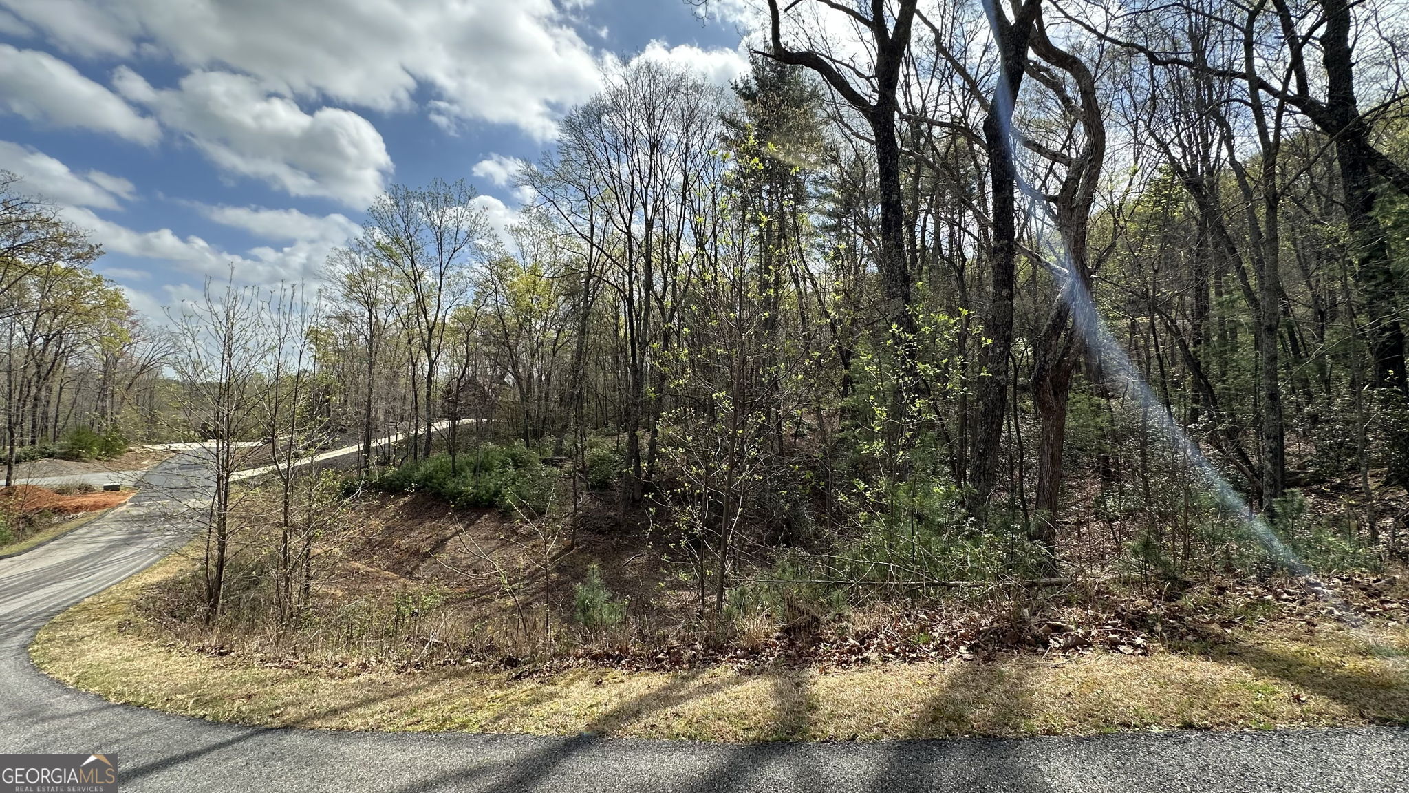 Lot 239 Shore Drive Cleveland, GA 30528 - Photo 5 of 13 a view of a yard