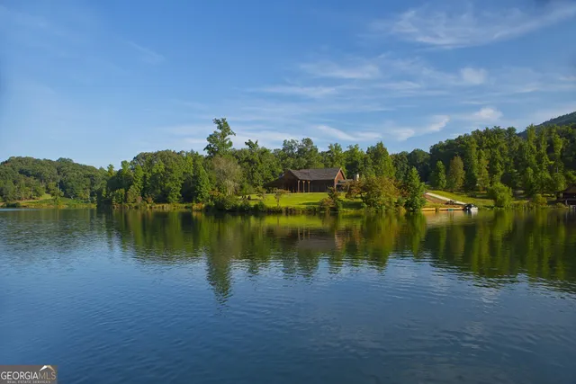 a view of a lake in middle of forest