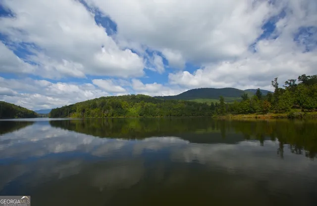 an aerial view of a house with a garden and plants