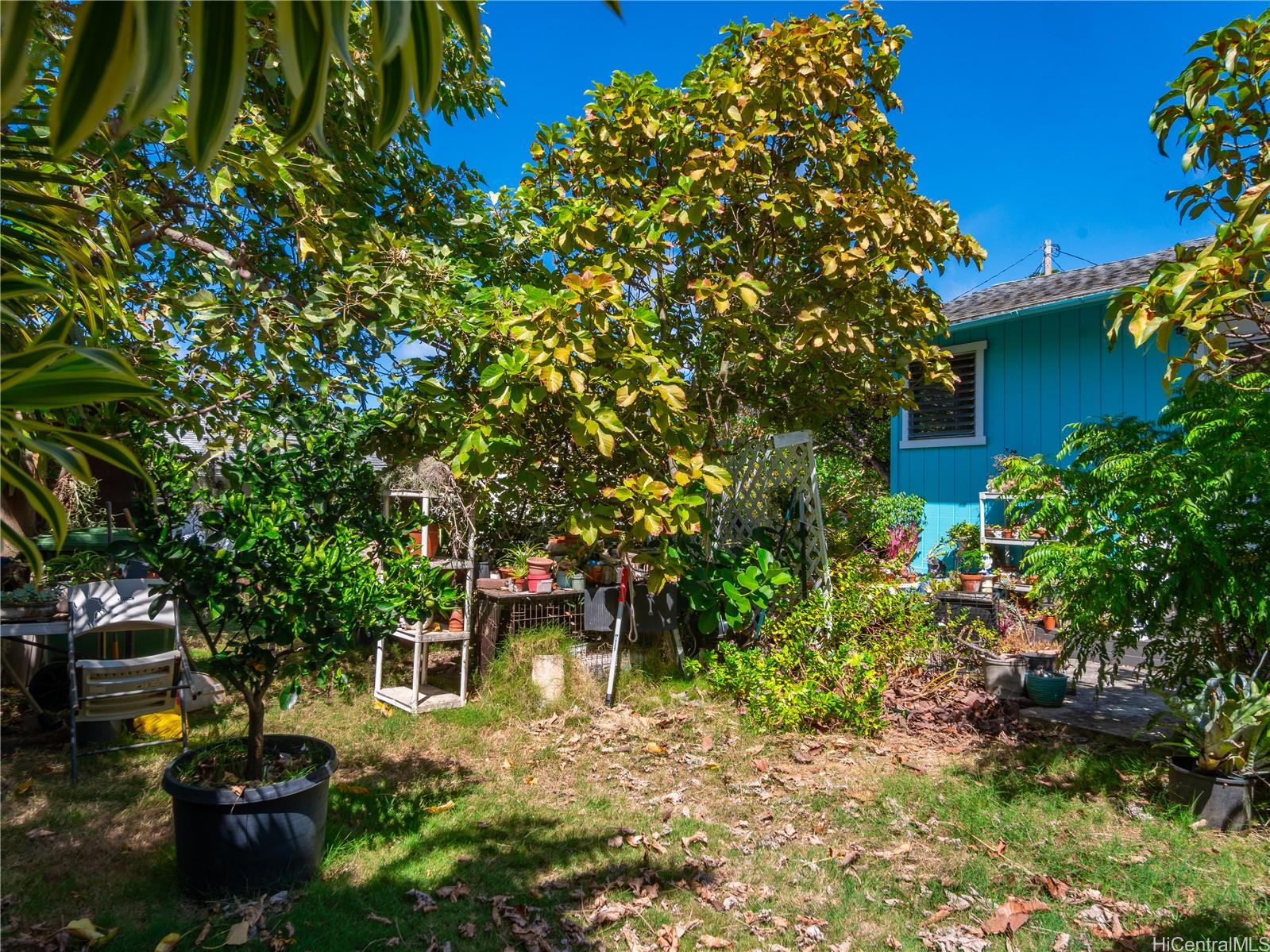 338 Manono Street, Unit B Kailua, HI 96734 - Photo 18 of 25 a backyard of a house with lots of green space
