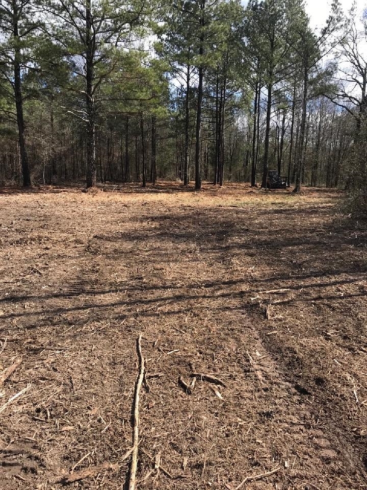 2228 Wayside Road Rome, GA 30165 - Photo 1 of 1 a big yard with trees
