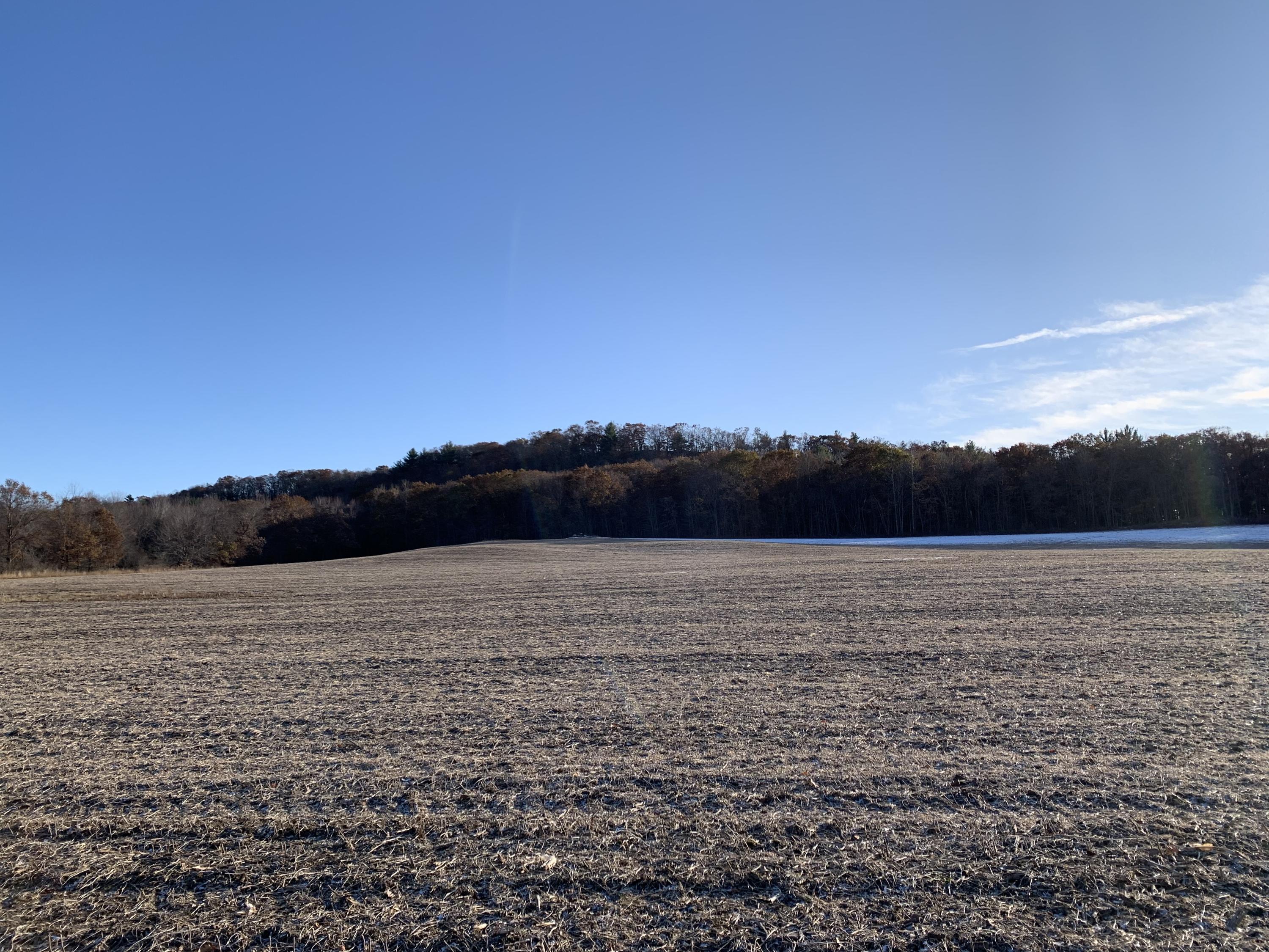 0 Alpha Avenue Sparta, WI 54656 - Photo 1 of 1 IMG_2036