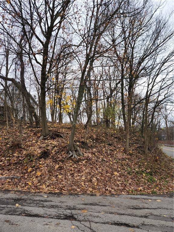 2327 Eiler Pittsburgh, PA 15220 - Photo 2 of 2