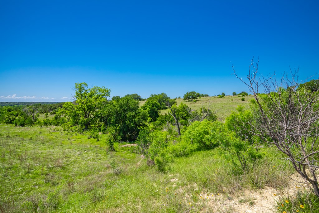 0 County Road Evant, TX 76525 - Photo 10 of 41 a view of a yard