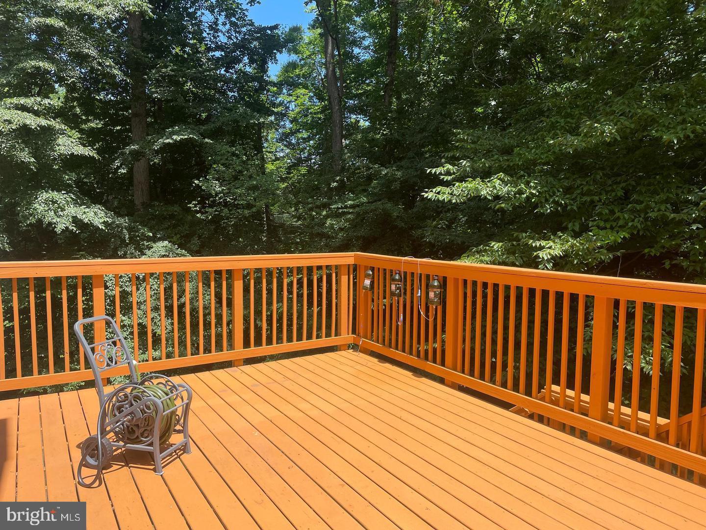 6223 Rathlin Drive Springfield, VA 22152 - Photo 13 of 32 deck backs to trees